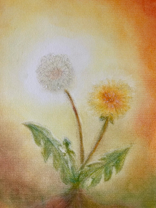 Postkarte Löwenzahn von Andrea Reiß: Löwenzahnblüte und Pusteblume