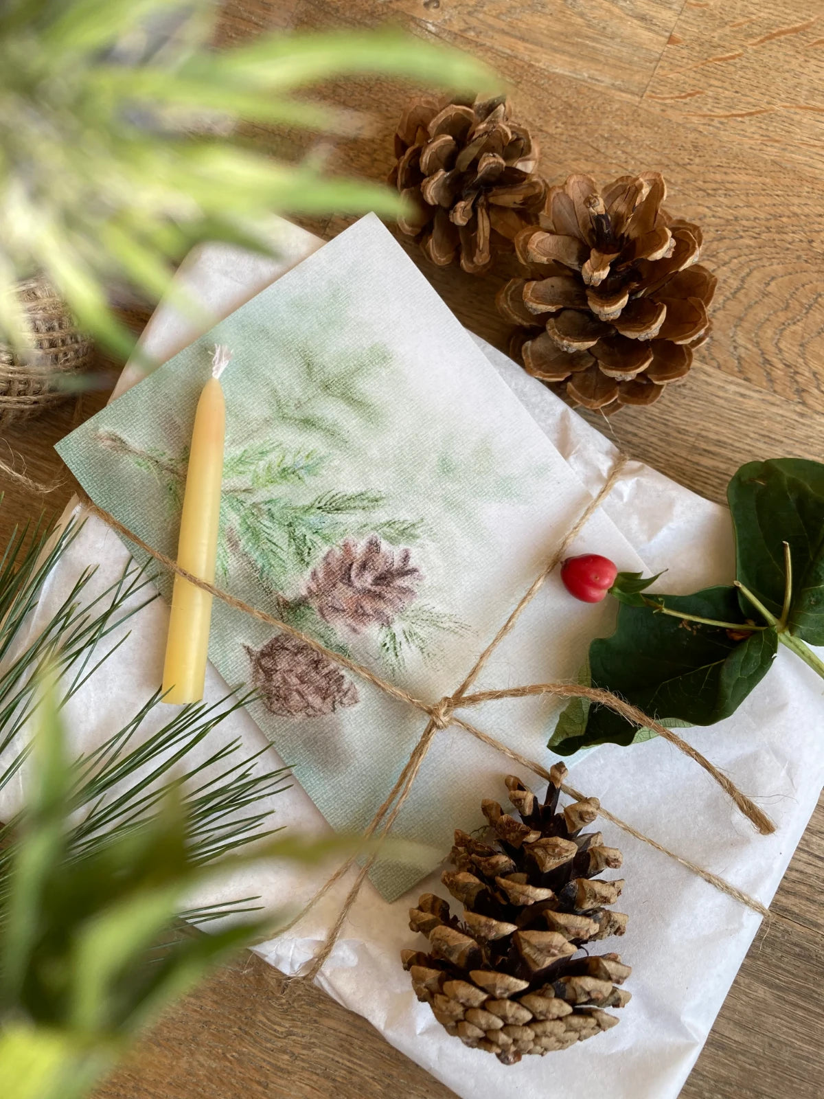 Postkarte Winterstimmung von Andrea Reiß: Tannenzweig mit Zapfen im Winter, Ansicht 2