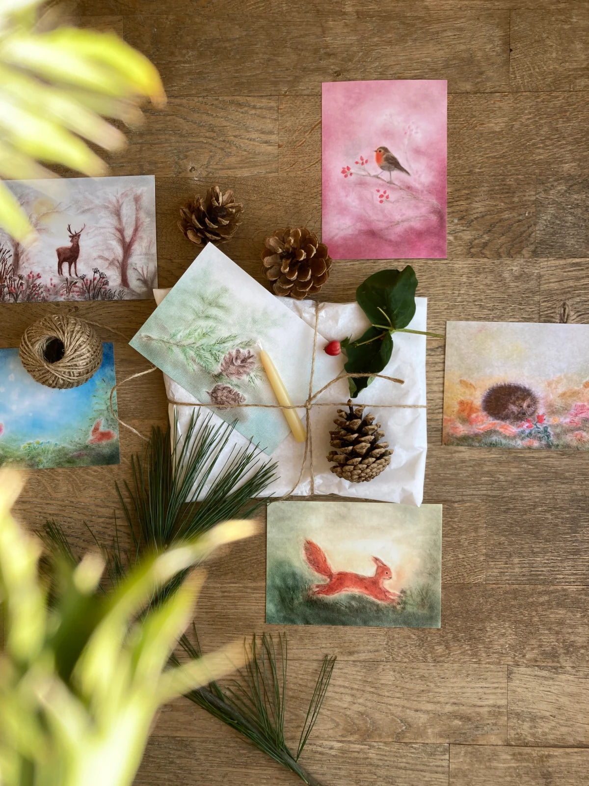 Postkarte Winterstimmung von Andrea Reiß: Tannenzweig mit Zapfen im Winter, Ansicht 3