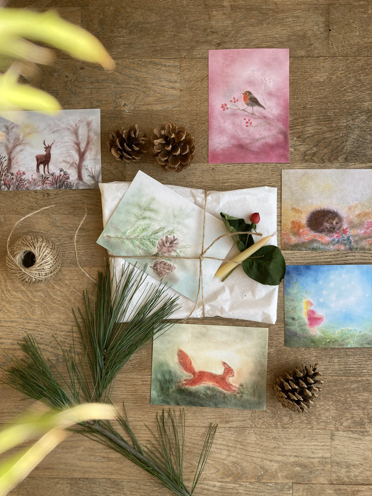 Postkarten von Andrea Reiß A6 mit Hirsch, Eichhörnchen, Igel und Rotkehlchen auf einem Holztisch mit Tannenzweigen