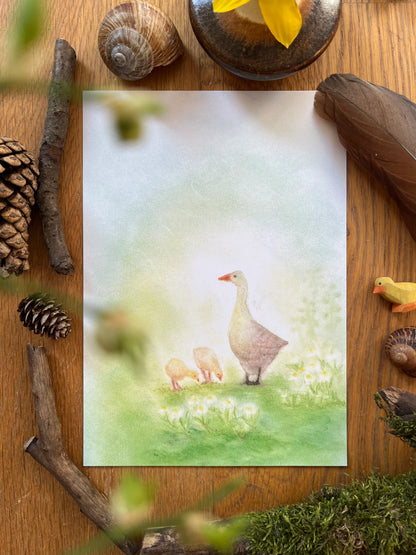 Kunstdruck Gänse A5