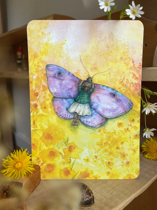 Frühlingsschmetterling A5