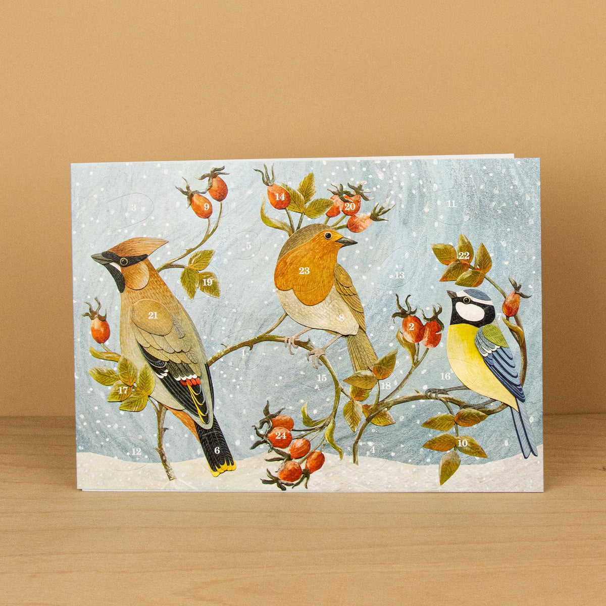 Adventskalender-Karte Winterhecke von Alice Melvin A5, Seidenschwanz, Rotkehlchen und Blaumeise zwischen Hagebutten