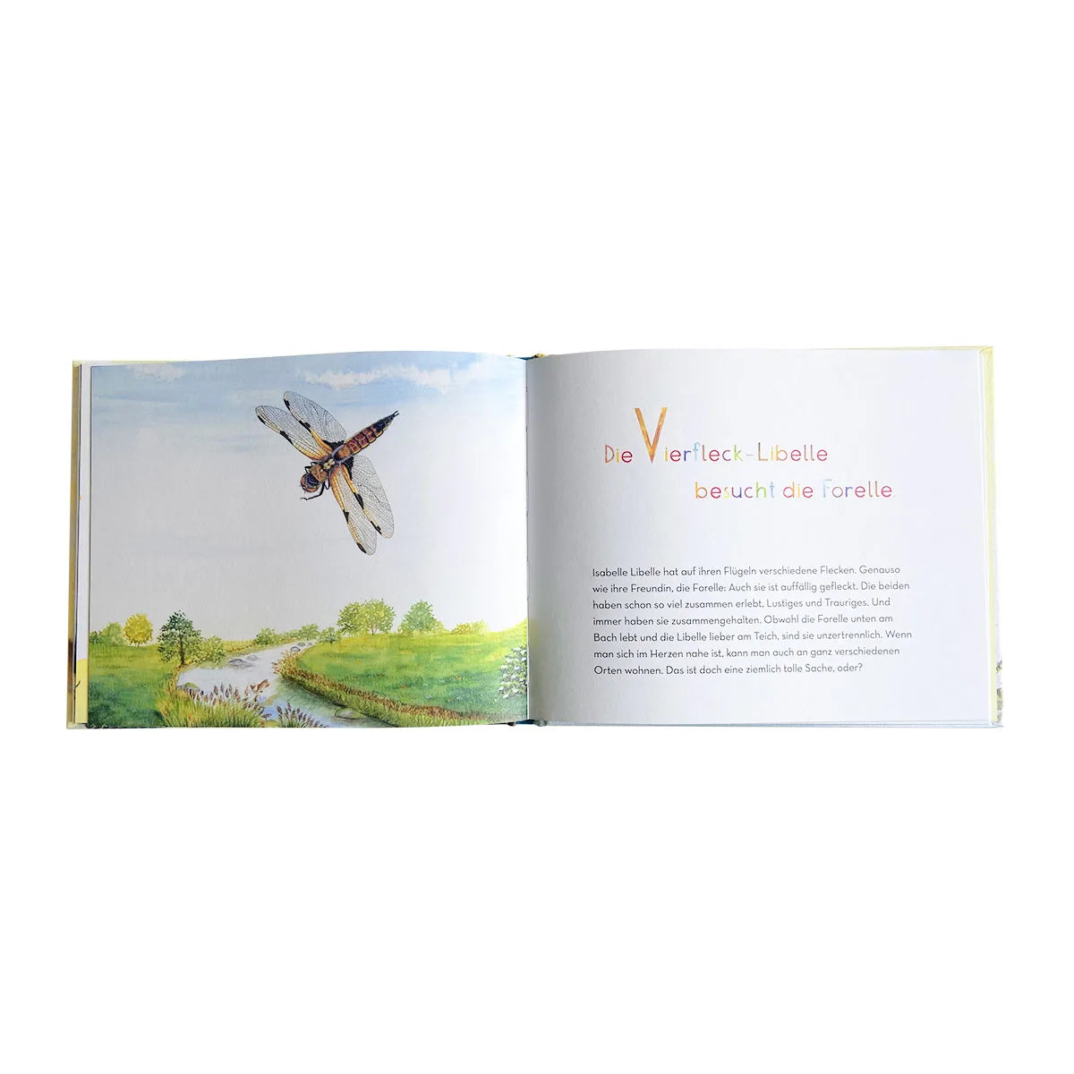 Atelier Baldrian & Hackel Bilderbuch Die kunterbunten ABC-Tiere, Blick ins Buch