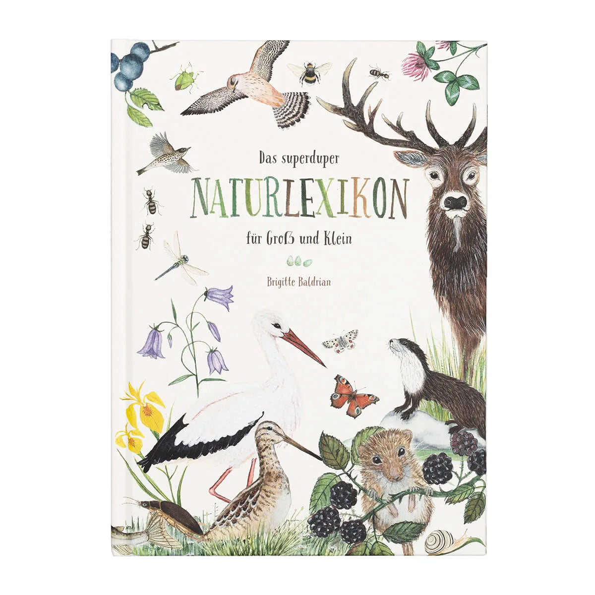 Naturlexikon von Atelier Baldrian & Hackel, Titelbild