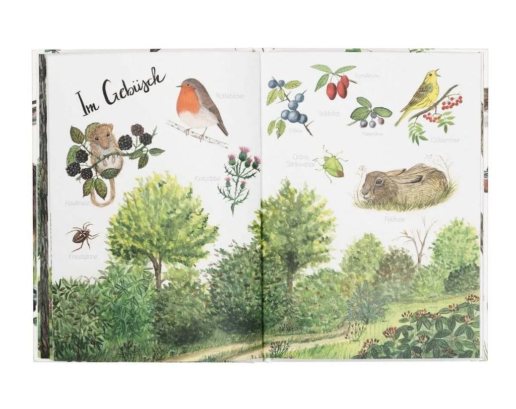 Atelier Baldrian & Hackel Bilderbuch Naturlexikon, Blick ins Buch