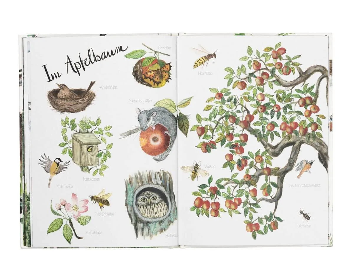 Naturlexikon von Atelier Baldrian & Hackel, Blick ins Buch