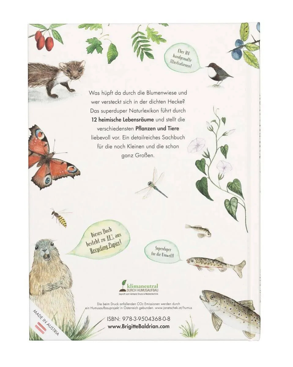 Atelier Baldrian & Hackel Bilderbuch Naturlexikon, Blick ins Buch