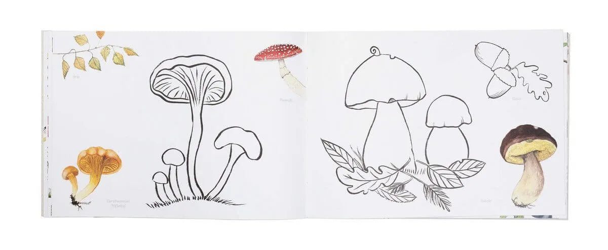 Naturmalbuch von Atelier Baldrian & Hackel, Blick ins Buch