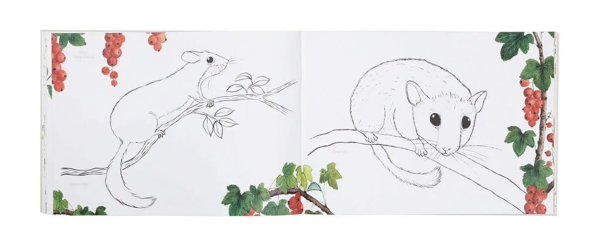 Atelier Baldrian & Hackel Naturmalbuch A4, Blick ins Buch