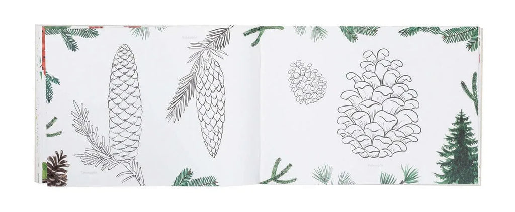 Atelier Baldrian & Hackel Naturmalbuch A4, Blick ins Buch