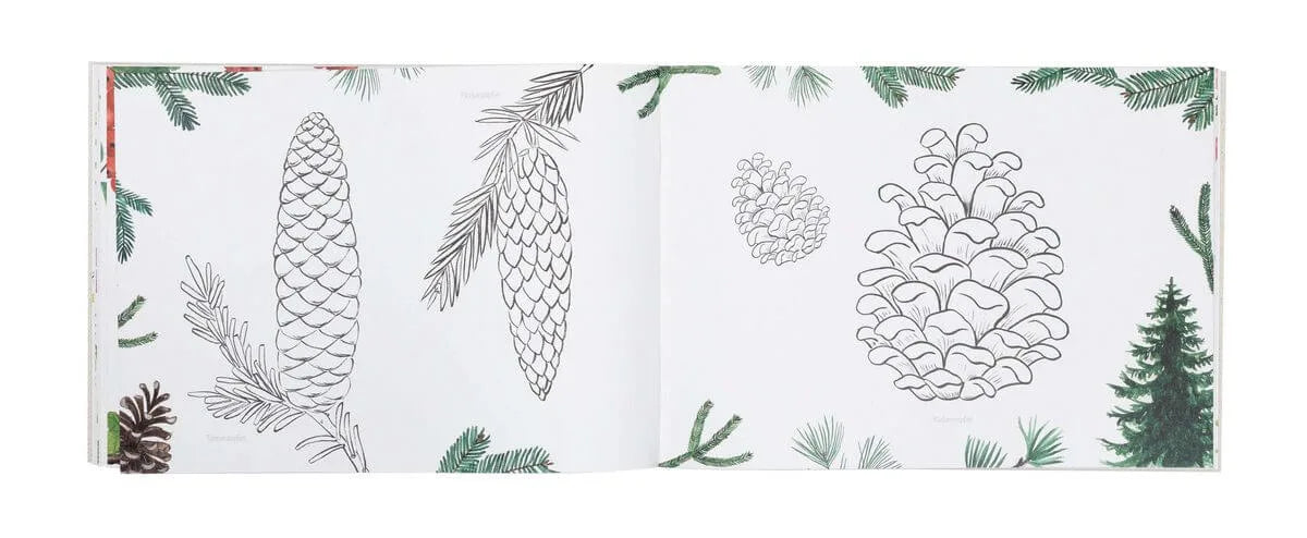 Atelier Baldrian & Hackel Naturmalbuch A4, Blick ins Buch