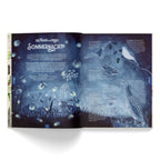 Atelier Baldrian & Hackel Sachbilderbuch Dein Jahr mit der Natur, Blick ins Buch