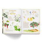 Atelier Baldrian & Hackel Sachbilderbuch Dein Jahr mit der Natur, Blick ins Buch