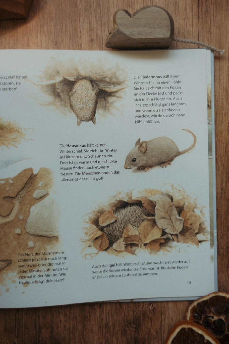 Sachbilderbuch Bald wird es kalt!, Blick ins Buch