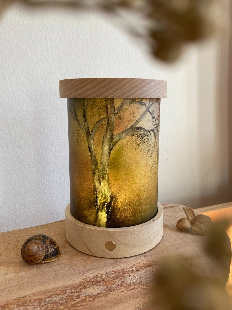 Lichtkarten Set - Baukje Exler - Natur Geschichten