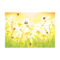 Sommerwiese
