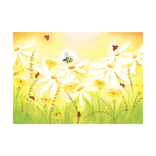 Sommerwiese