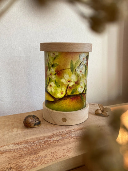 Lichtkarten Set - Baukje Exler - Jahreszeiten