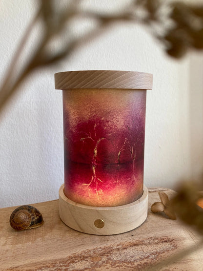 Lichtkarten Set - Baukje Exler - Natur Geschichten