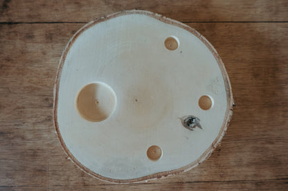 Holzscheibe - Jahreszeitentisch