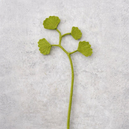 Ginko 4 Blätter