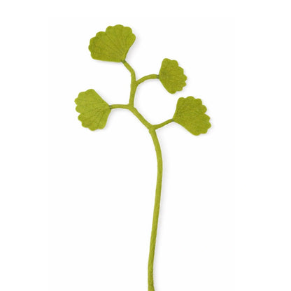 Ginko 4 Blätter