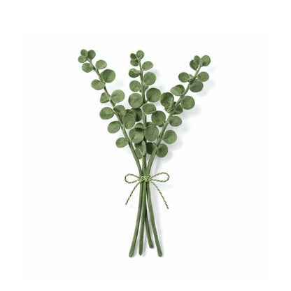 Filzeukalyptus