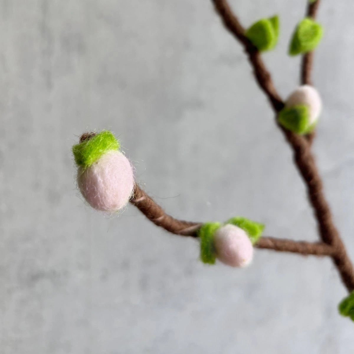 Kleine rosa Filzblüte