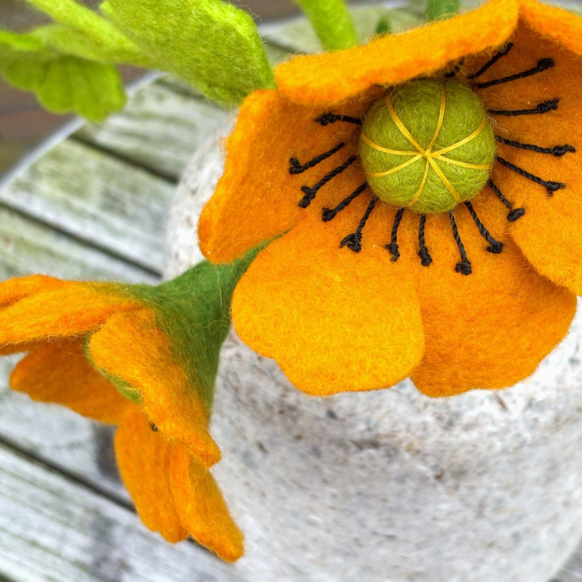 Mohnblume - orange