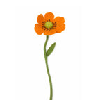 BeYoona Filzblume Mohnblume orange