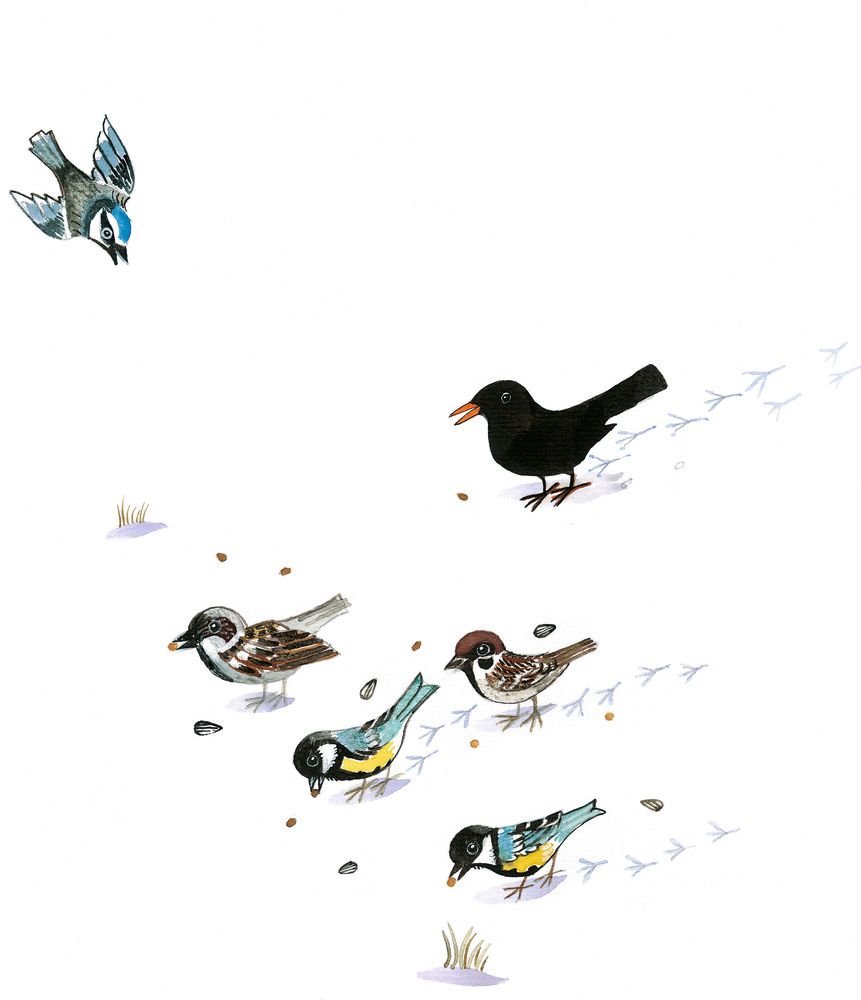 So ist der Winter, Vögel im Schnee
