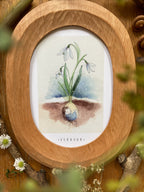 Monatskarten Blumen - Set von Stefanie Messing
