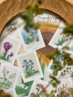 Monatskarten Blumen - Set von Stefanie Messing