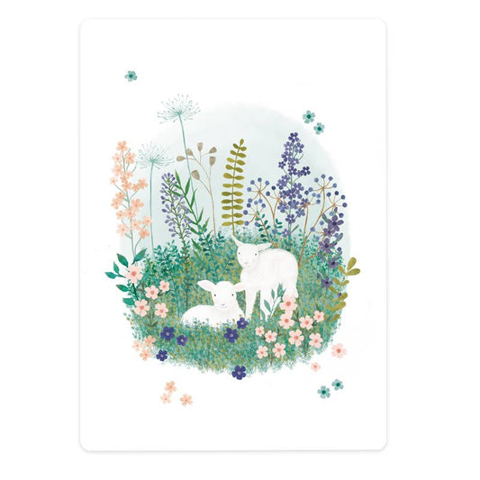 Zwei Lämmer auf der Wiese