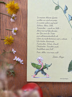 Bilderbuch Majas kleiner Garten von Lena Anderson 2. Hand, Rückseite mit Gedicht, Foto