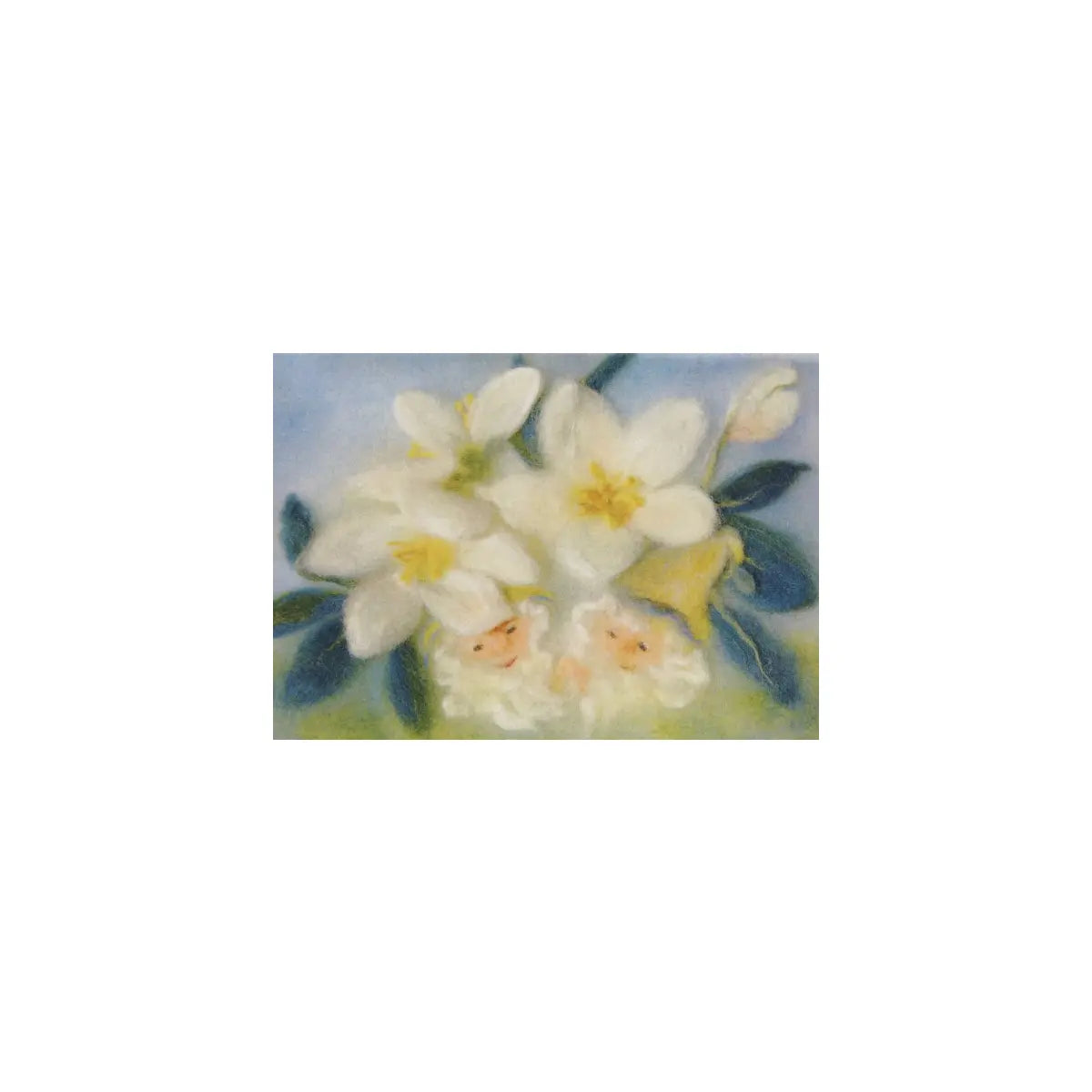 Christrose