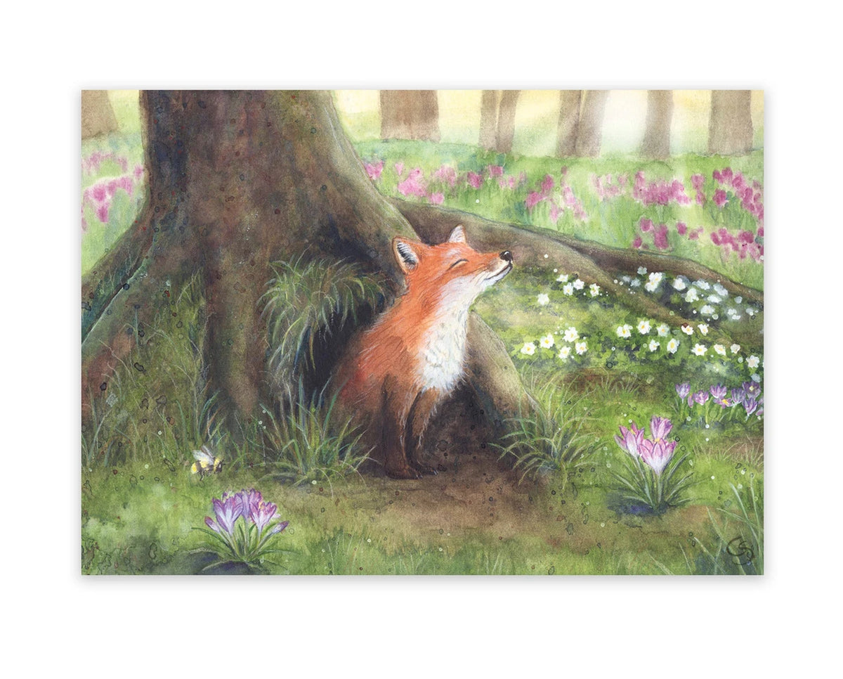 Postkarte Fuchs im Frühling von Corinna Schwerdtfeger A6: ein Fuchs sitzt vor seinem Bau unter einem alten Baum, ringsum weiße Frühlingsblumen und lila Krokusse