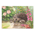 Postkarte Igel im Garten von Corinna Schwerdtfeger A6: eine Igelfamilie an einer Wasserstelle im Garten zwischen Heckenrosen und Fingerhut