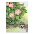 Postkarte Kleiner Igel von Corinna Schwerdtfeger A6: ein kleiner Igel trinkt an einer Pfütze unter blühenden Heckenrosen, eine Hummel fliegt vorbei