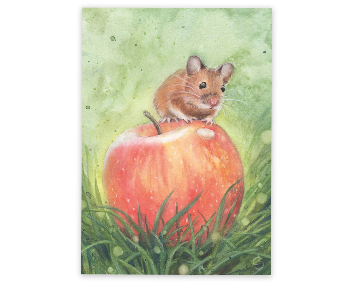 Postkarte Waldmaus mit Apfel von Corinna Schwerdtfeger A6: eine Waldmaus sitzt oben auf einem großen roten Apfel im Gras