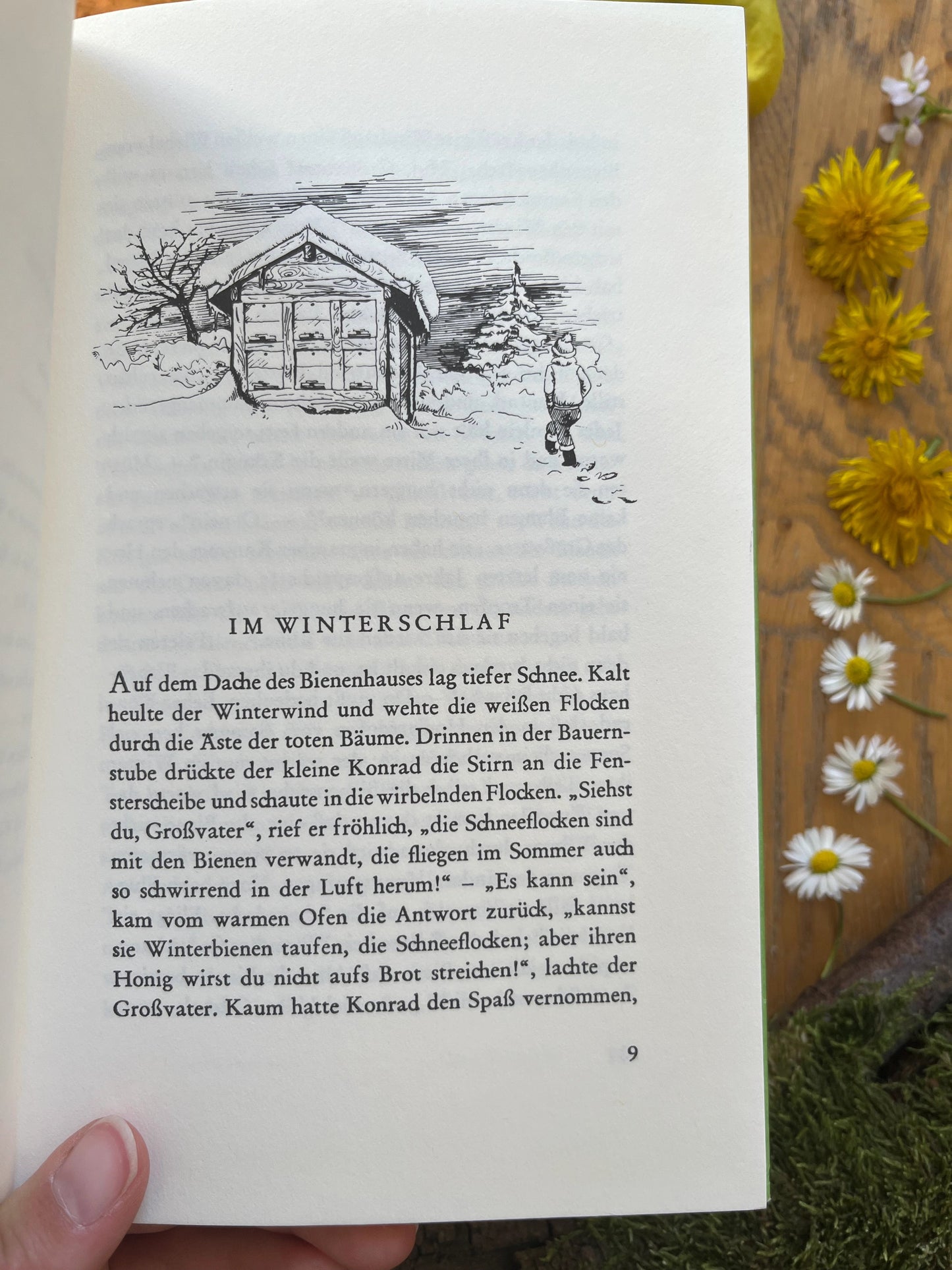 Das Bienen-Buch - Jakob Streit