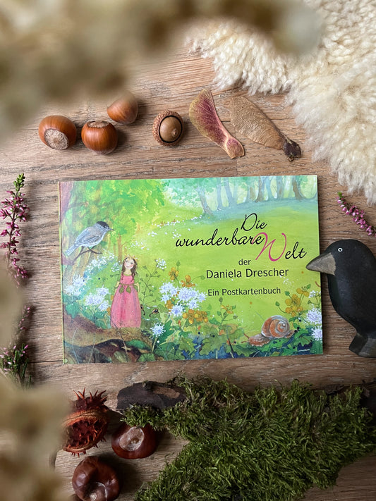 Postkartenbuch Die wunderbare Welt der Daniela Drescher