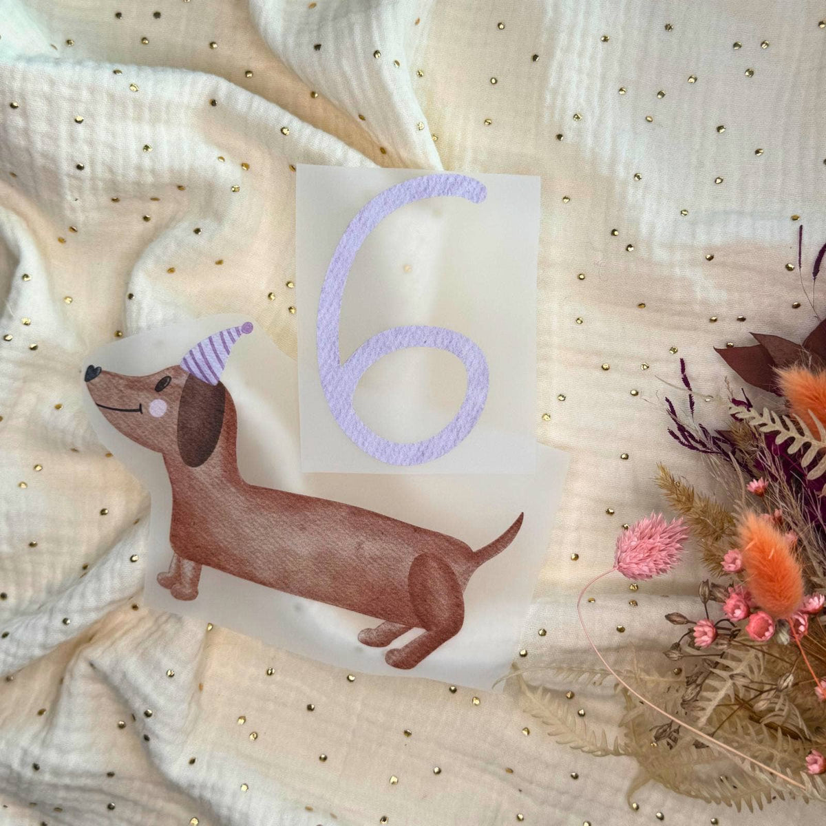 Bügelbild Geburtstag Dackel von doerrtoparadise mit Beispielzahl 6, Zahl nicht enthalten