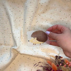 Bügelbild Igel von doerrtoparadise in der Hand gehalten
