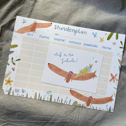 Stundenplan - Dackel