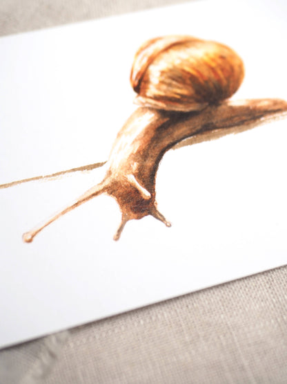 Schnecke A6
