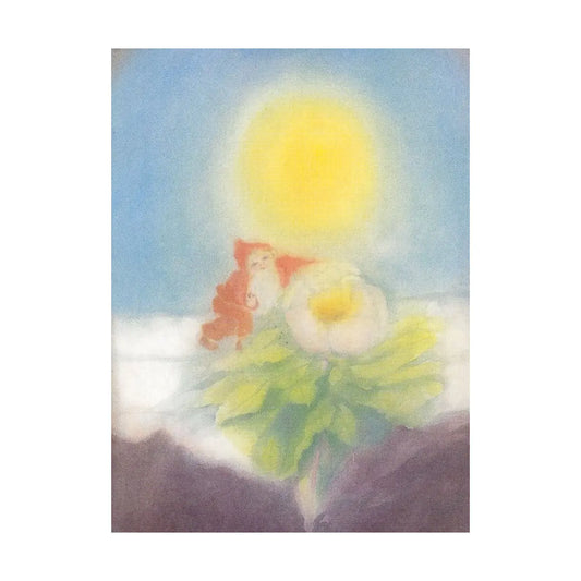 Zwerglein mit Christrose