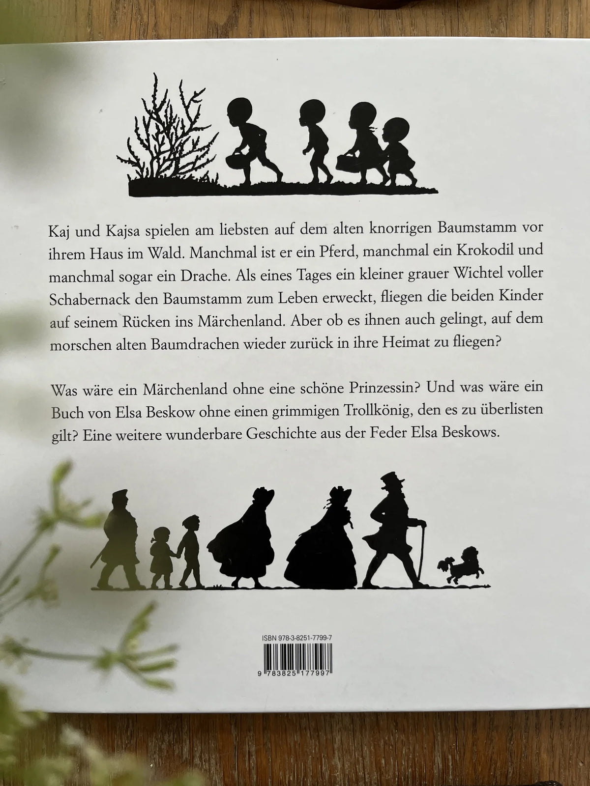 Drachenflug ins Märchenland von Elsa Beskow, Rückseite mit Klappentext und Scherenschnitten, Foto