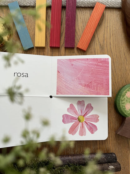 Mein allererstes Buch der Farben von Eric Carle, Doppelseite rosa mit rosa Farbfläche und Blume, Foto